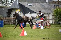 Photo n° 39435
St ANTOINE LA FORET 2017. Photo Chevalandrieu
Christophe DUCLOS
Affichée 10 fois
Ajoutée le 25/04/2017 11:38:19 par Nadinetoudic

--> Cliquer pour agrandir <--