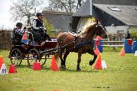 Photo n 39437&#10;St ANTOINE LA FORET 2017. Photo Chevalandrieu&#10;Guylain TRANCHARD&#10;Affiche 9 fois&#10;Ajoute le 25/04/2017 11:38:19 par Nadinetoudic&#10;&#10;--> Cliquer pour agrandir <--