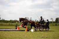 Photo n 39438&#10;St ANTOINE LA FORET 2017. Photo Chevalandrieu&#10;Guylain TRANCHARD&#10;Affiche 13 fois&#10;Ajoute le 25/04/2017 11:38:19 par Nadinetoudic&#10;&#10;--> Cliquer pour agrandir <--