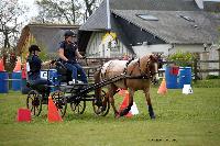 Photo n° 39439
St ANTOINE LA FORET 2017. Photo Chevalandrieu
Clémence CHARPENTIER
Affichée 63 fois
Ajoutée le 25/04/2017 11:38:19 par Nadinetoudic

--> Cliquer pour agrandir <--