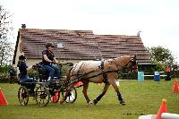 Photo n° 39440
St ANTOINE LA FORET 2017. Photo Chevalandrieu
Clémence CHARPENTIER
Affichée 8 fois
Ajoutée le 25/04/2017 11:38:19 par Nadinetoudic

--> Cliquer pour agrandir <--