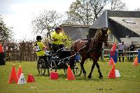 Photo n 39441&#10;St ANTOINE LA FORET 2017. Photo Chevalandrieu&#10;Christine RENEAUX&#10;Affiche 14 fois&#10;Ajoute le 25/04/2017 11:38:19 par Nadinetoudic&#10;&#10;--> Cliquer pour agrandir <--