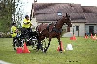 Photo n 39442&#10;St ANTOINE LA FORET 2017. Photo Chevalandrieu&#10;Christine RENEAUX&#10;Affiche 21 fois&#10;Ajoute le 25/04/2017 11:38:19 par Nadinetoudic&#10;&#10;--> Cliquer pour agrandir <--