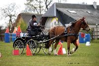 Photo n 39443&#10;St ANTOINE LA FORET 2017. Photo Chevalandrieu&#10;Marie VAUQUIER&#10;Affiche 11 fois&#10;Ajoute le 25/04/2017 11:38:20 par Nadinetoudic&#10;&#10;--> Cliquer pour agrandir <--