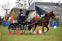 Photo n° 39443
St ANTOINE LA FORET 2017. Photo Chevalandrieu
Marie VAUQUIER
Affichée 9 fois
Ajoutée le 25/04/2017 11:38:20 par Nadinetoudic

--> Cliquer pour agrandir <--