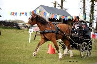 Photo n 39444&#10;St ANTOINE LA FORET 2017. Photo Chevalandrieu&#10;Marie VAUQUIER&#10;Affiche 15 fois&#10;Ajoute le 25/04/2017 11:38:20 par Nadinetoudic&#10;&#10;--> Cliquer pour agrandir <--