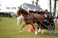 Photo n° 39444
St ANTOINE LA FORET 2017. Photo Chevalandrieu
Marie VAUQUIER
Affichée 12 fois
Ajoutée le 25/04/2017 11:38:20 par Nadinetoudic

--> Cliquer pour agrandir <--