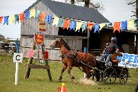 Photo n° 39446
St ANTOINE LA FORET 2017. Photo Chevalandrieu
Eric BLONDIAUX
Affichée 14 fois
Ajoutée le 25/04/2017 11:38:20 par Nadinetoudic

--> Cliquer pour agrandir <--