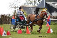 Photo n 39447&#10;St ANTOINE LA FORET 2017. Photo Chevalandrieu&#10;Jeanne HERANVAL&#10;Affiche 13 fois&#10;Ajoute le 25/04/2017 11:38:20 par Nadinetoudic&#10;&#10;--> Cliquer pour agrandir <--