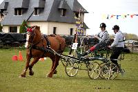 Photo n 39448&#10;St ANTOINE LA FORET 2017. Photo Chevalandrieu&#10;Jeanne HERANVAL&#10;Affiche 12 fois&#10;Ajoute le 25/04/2017 11:38:20 par Nadinetoudic&#10;&#10;--> Cliquer pour agrandir <--