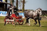 Photo n° 39449
St ANTOINE LA FORET 2017. Photo Chevalandrieu
Gilles NEVEU
Affichée 14 fois
Ajoutée le 25/04/2017 11:38:20 par Nadinetoudic

--> Cliquer pour agrandir <--