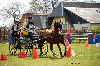 Photo n° 39451
St ANTOINE LA FORET 2017. Photo Chevalandrieu
Auriane LAVICE
Affichée 9 fois
Ajoutée le 25/04/2017 11:38:20 par Nadinetoudic

--> Cliquer pour agrandir <--