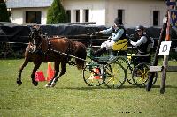 Photo n° 39452
St ANTOINE LA FORET 2017. Photo Chevalandrieu
Auriane LAVICE
Affichée 9 fois
Ajoutée le 25/04/2017 11:38:20 par Nadinetoudic

--> Cliquer pour agrandir <--