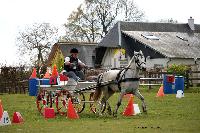 Photo n° 39453
St ANTOINE LA FORET 2017. Photo Chevalandrieu
Christophe DUCLOS
Affichée 8 fois
Ajoutée le 25/04/2017 11:38:20 par Nadinetoudic

--> Cliquer pour agrandir <--