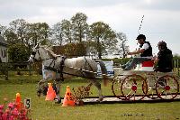 Photo n 39454&#10;St ANTOINE LA FORET 2017. Photo Chevalandrieu&#10;Christophe DUCLOS&#10;Affiche 12 fois&#10;Ajoute le 25/04/2017 11:38:20 par Nadinetoudic&#10;&#10;--> Cliquer pour agrandir <--