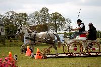 Photo n° 39454
St ANTOINE LA FORET 2017. Photo Chevalandrieu
Christophe DUCLOS
Affichée 8 fois
Ajoutée le 25/04/2017 11:38:20 par Nadinetoudic

--> Cliquer pour agrandir <--