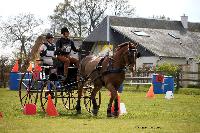 Photo n° 39455
St ANTOINE LA FORET 2017. Photo Chevalandrieu
David GUERIN
Affichée 9 fois
Ajoutée le 25/04/2017 11:38:20 par Nadinetoudic

--> Cliquer pour agrandir <--