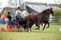 Photo n° 39457
St ANTOINE LA FORET 2017. Photo Chevalandrieu
Pascal PICARD
Affichée 18 fois
Ajoutée le 25/04/2017 11:38:20 par Nadinetoudic

--> Cliquer pour agrandir <--