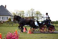 Photo n 39458&#10;St ANTOINE LA FORET 2017. Photo Chevalandrieu&#10;Pascal PICARD&#10;Affiche 11 fois&#10;Ajoute le 25/04/2017 11:38:20 par Nadinetoudic&#10;&#10;--> Cliquer pour agrandir <--