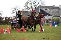 Photo n 39459&#10;St ANTOINE LA FORET 2017. Photo Chevalandrieu&#10;Catherine RECHER&#10;Affiche 28 fois&#10;Ajoute le 25/04/2017 11:49:56 par Nadinetoudic&#10;&#10;--> Cliquer pour agrandir <--