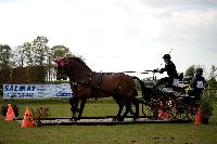 Photo n° 39460
St ANTOINE LA FORET 2017. Photo Chevalandrieu
Catherine RECHER
Affichée 45 fois
Ajoutée le 25/04/2017 11:49:56 par Nadinetoudic

--> Cliquer pour agrandir <--