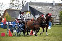 Photo n 39461&#10;St ANTOINE LA FORET 2017. Photo Chevalandrieu&#10;Jean-Jacques VOYEUX&#10;Affiche 104 fois&#10;Ajoute le 25/04/2017 11:49:56 par Nadinetoudic&#10;&#10;--> Cliquer pour agrandir <--