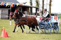 Photo n 39462&#10;St ANTOINE LA FORET 2017. Photo Chevalandrieu&#10;Jean-Jacques VOYEUX&#10;Affiche 28 fois&#10;Ajoute le 25/04/2017 11:49:56 par Nadinetoudic&#10;&#10;--> Cliquer pour agrandir <--
