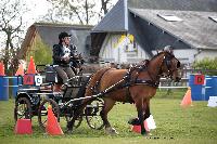 Photo n° 39465
St ANTOINE LA FORET 2017. Photo Chevalandrieu
Suzanne GEFFROY
Affichée 12 fois
Ajoutée le 25/04/2017 11:49:56 par Nadinetoudic

--> Cliquer pour agrandir <--