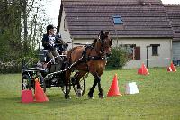 Photo n° 39466
St ANTOINE LA FORET 2017. Photo Chevalandrieu
Suzanne GEFFROY
Affichée 6 fois
Ajoutée le 25/04/2017 11:49:56 par Nadinetoudic

--> Cliquer pour agrandir <--