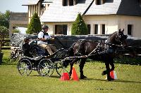 Photo n 39468&#10;St ANTOINE LA FORET 2017. Photo Chevalandrieu&#10;Marc MENET&#10;Affiche 10 fois&#10;Ajoute le 25/04/2017 11:49:56 par Nadinetoudic&#10;&#10;--> Cliquer pour agrandir <--