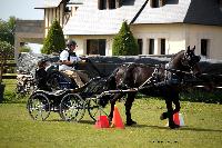 Photo n° 39468
St ANTOINE LA FORET 2017. Photo Chevalandrieu
Marc MENET
Affichée 8 fois
Ajoutée le 25/04/2017 11:49:56 par Nadinetoudic

--> Cliquer pour agrandir <--