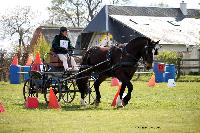 Photo n° 39469
St ANTOINE LA FORET 2017. Photo Chevalandrieu
Carole SIMON
Affichée 6 fois
Ajoutée le 25/04/2017 11:49:56 par Nadinetoudic

--> Cliquer pour agrandir <--