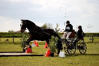 Photo n 39470&#10;St ANTOINE LA FORET 2017. Photo Chevalandrieu&#10;Carole SIMON&#10;Affiche 16 fois&#10;Ajoute le 25/04/2017 11:49:56 par Nadinetoudic&#10;&#10;--> Cliquer pour agrandir <--