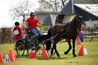 Photo n 39471&#10;St ANTOINE LA FORET 2017. Photo Chevalandrieu&#10;Marc CLAEYSSENS&#10;Affiche 30 fois&#10;Ajoute le 25/04/2017 11:49:57 par Nadinetoudic&#10;&#10;--> Cliquer pour agrandir <--