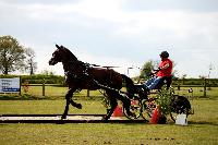 Photo n 39472&#10;St ANTOINE LA FORET 2017. Photo Chevalandrieu&#10;Marc CLAEYSSENS&#10;Affiche 20 fois&#10;Ajoute le 25/04/2017 11:49:57 par Nadinetoudic&#10;&#10;--> Cliquer pour agrandir <--