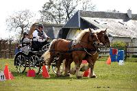 Photo n 39473&#10;St ANTOINE LA FORET 2017. Photo Chevalandrieu&#10;Christian DERREY&#10;Affiche 25 fois&#10;Ajoute le 25/04/2017 11:49:57 par Nadinetoudic&#10;&#10;--> Cliquer pour agrandir <--