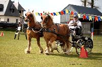 Photo n° 39474
St ANTOINE LA FORET 2017. Photo Chevalandrieu
Christian DERREY
Affichée 31 fois
Ajoutée le 25/04/2017 11:49:57 par Nadinetoudic

--> Cliquer pour agrandir <--