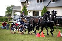 Photo n° 39476
St ANTOINE LA FORET 2017. Photo Chevalandrieu
André FRANCOIS
Affichée 29 fois
Ajoutée le 25/04/2017 11:49:57 par Nadinetoudic

--> Cliquer pour agrandir <--