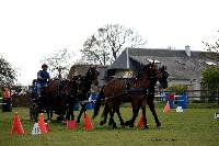 Photo n 39479&#10;St ANTOINE LA FORET 2017. Photo Chevalandrieu&#10;Jean-Paul ADIDI&#10;Affiche 20 fois&#10;Ajoute le 25/04/2017 11:49:57 par Nadinetoudic&#10;&#10;--> Cliquer pour agrandir <--