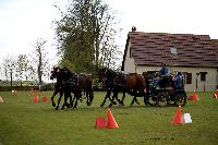 Photo n° 39480
St ANTOINE LA FORET 2017. Photo Chevalandrieu
Jean-Paul ADIDI
Affichée 25 fois
Ajoutée le 25/04/2017 11:49:57 par Nadinetoudic

--> Cliquer pour agrandir <--