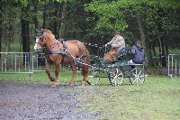Photo n 39753&#10;FORGES les EAUX 2017&#10;&#10;Affiche 5 fois&#10;Ajoute le 08/05/2017 08:26:07 par JeanClaudeGrognet&#10;&#10;--> Cliquer pour agrandir <--