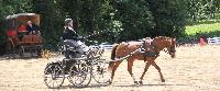 Photo n 39943&#10;SACY le GRAND 2017&#10;&#10;Affiche 14 fois&#10;Ajoute le 22/05/2017 09:33:53 par JeanClaudeGrognet&#10;&#10;--> Cliquer pour agrandir <--