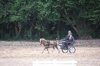 Photo n 39955&#10;SACY le GRAND 2017&#10;&#10;Affiche 8 fois&#10;Ajoute le 22/05/2017 09:33:54 par JeanClaudeGrognet&#10;&#10;--> Cliquer pour agrandir <--