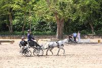 Photo n 39962&#10;SACY le GRAND 2017&#10;&#10;Affiche 12 fois&#10;Ajoute le 22/05/2017 09:33:54 par JeanClaudeGrognet&#10;&#10;--> Cliquer pour agrandir <--