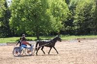 Photo n 39974&#10;SACY le GRAND 2017&#10;&#10;Affiche 14 fois&#10;Ajoute le 22/05/2017 09:33:54 par JeanClaudeGrognet&#10;&#10;--> Cliquer pour agrandir <--