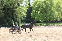 Photo n 39981&#10;SACY le GRAND 2017&#10;&#10;Affiche 24 fois&#10;Ajoute le 22/05/2017 09:33:55 par JeanClaudeGrognet&#10;&#10;--> Cliquer pour agrandir <--