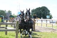 Photo n 40203&#10;WALKENSWAARD 2017 - photo Alison Lagache&#10;&#10;Affiche 10 fois&#10;Ajoute le 12/06/2017 10:41:31 par JeanClaudeGrognet&#10;&#10;--> Cliquer pour agrandir <--