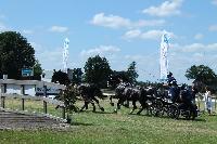 Photo n 40204&#10;WALKENSWAARD 2017 - photo Alison Lagache&#10;&#10;Affiche 8 fois&#10;Ajoute le 12/06/2017 10:41:31 par JeanClaudeGrognet&#10;&#10;--> Cliquer pour agrandir <--