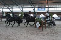 Photo n 40207&#10;WALKENSWAARD 2017 - photo Alison Lagache&#10;&#10;Affiche 8 fois&#10;Ajoute le 12/06/2017 10:41:31 par JeanClaudeGrognet&#10;&#10;--> Cliquer pour agrandir <--
