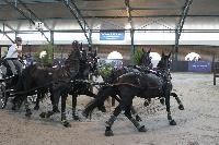 Photo n 40208&#10;WALKENSWAARD 2017 - photo Alison Lagache&#10;&#10;Affiche 8 fois&#10;Ajoute le 12/06/2017 10:41:31 par JeanClaudeGrognet&#10;&#10;--> Cliquer pour agrandir <--